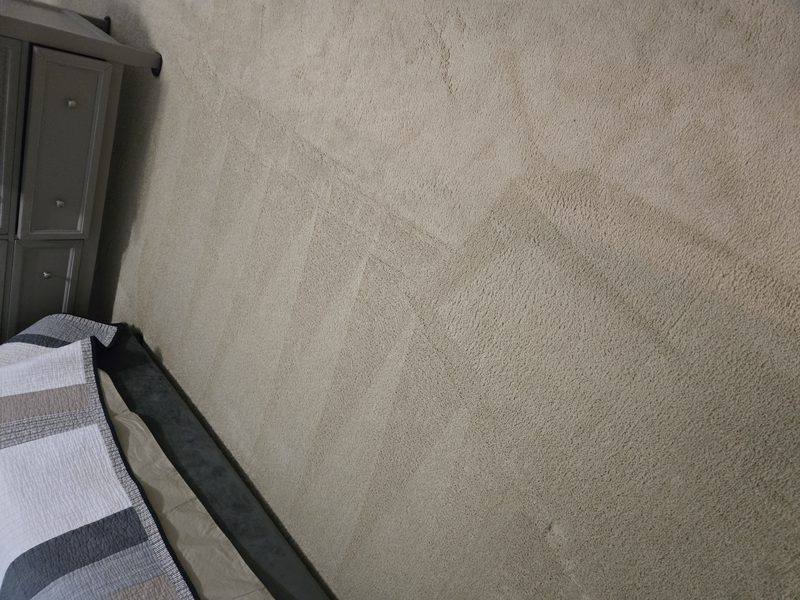 Freshly cleaned bedroom carpet with even extraction lines